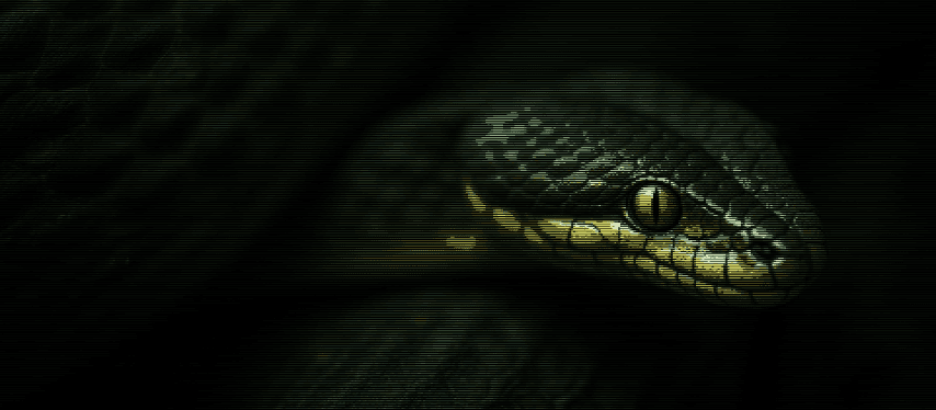 CobraShield Background